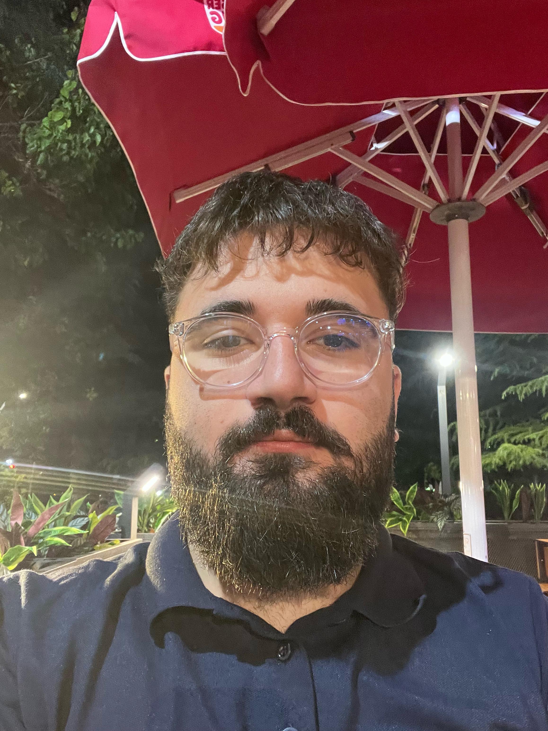 Ahmet Ayhan DÜZEN, Yazılım Geliştirici